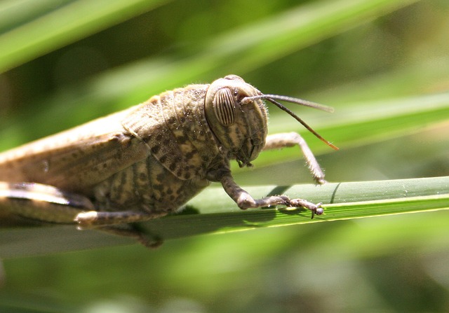 5. Krátkodobé a dlouhodobé⁤ přínosy tepelného⁣ čerpadla pro novostavby