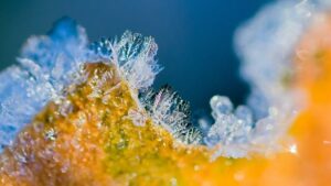 Co jsou sněhové pelety a jak je používat v zimě? Tipy a triky