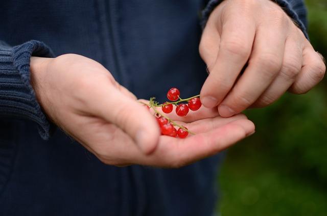 Důležité tipy a triky pro úspěšnou výrobu hořáku na pelety doma